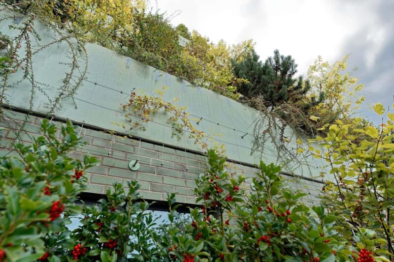 Green Bunker Tour on St. Pauli  the original - Why Choose This Tour?