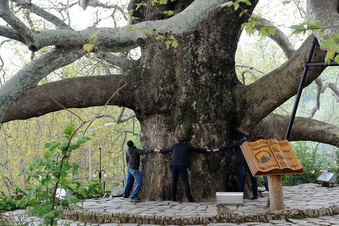 Green Bursa and Uluda Tour from Istanbul - Who Will Enjoy This Tour Most?