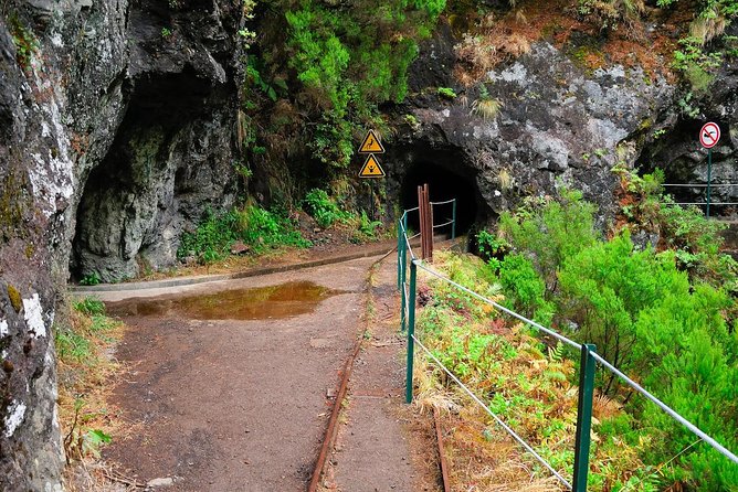 Green Cauldron - The Sum Up: A Well-Organized Day in Madeira’s Green Heart