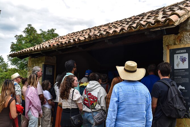 Green Line: Dalmatia For Nature Lovers with Sightseeing Bus - Practical Details: Meeting Point, Accessibility, and Group Size