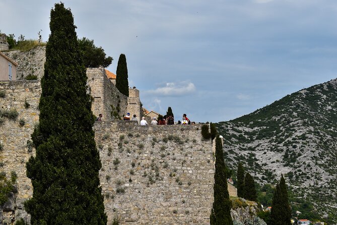 Green Line: Dalmatia For Nature Lovers with Sightseeing Bus - The Experience on Board: Comfort and Connectivity