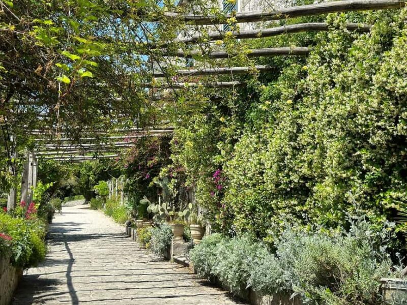 Green Oasis & Ston Wine Adventure Tour with Tickets - Scenic Transfer to Vukas Winery in Boljenovii