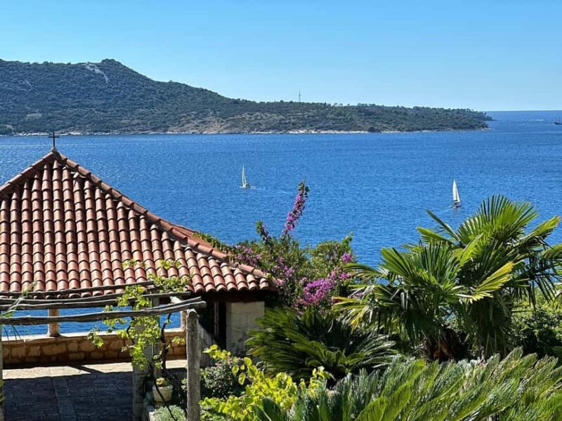 Green Oasis & Ston Wine Adventure Tour with Tickets - Convenient Transportation and Tour Logistics