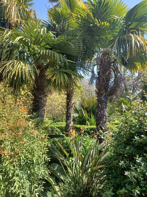 Green Oasis & Ston Wine Adventure Tour with Tickets - Comparing This Tour to Other Croatian Experiences