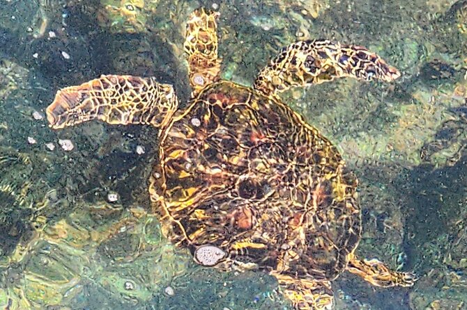 Green Sands Adventure ATV Ride - Key Points