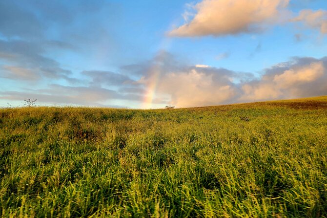 Green Sands Adventure ATV Ride - Expert Guides and Friendly Service