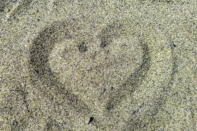 Green Sands Adventure ATV Ride - The Beach Destination and Sea Turtle Encounters