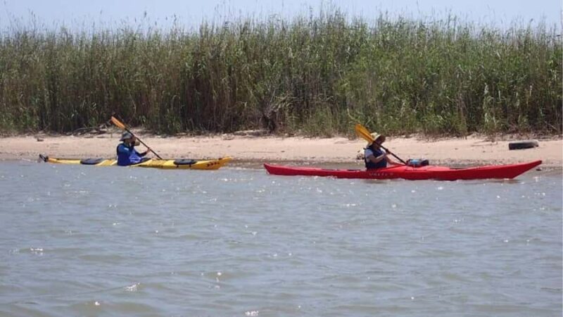Greenland Paddle | Sea Kayaking Skills Development Course - Frequently Asked Questions