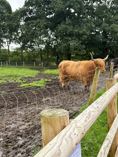Greenock: Loch Lomond, Luss, and Stirling Castle Tour - Key Points