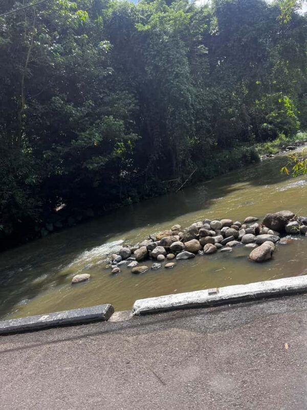 Grenada: River Tubing Adventures - Discover the Charm of Grenadas River Tubing on the Balthazar River