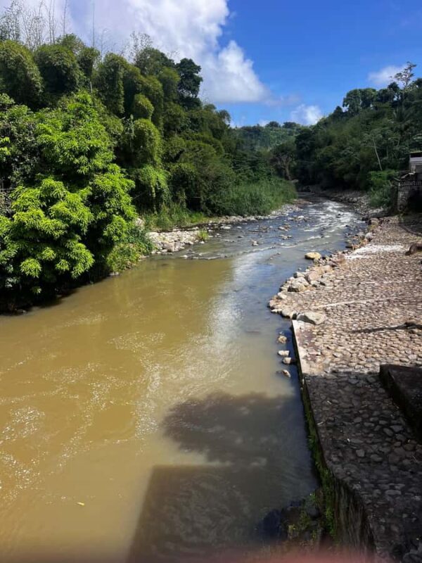 Grenada: River Tubing Adventures - Exploring the Lush Rainforest and Water Features