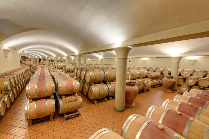 Greve in Chianti: Wine Tasting & Cellar Tour - Discover the Charm of Greve in Chianti’s Nozzole Estate