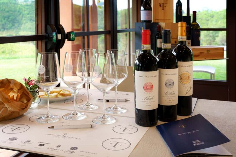 Greve in Chianti: Wine Tasting & Cellar Tour - Guided Wine Tasting of Three Chianti Classico Labels