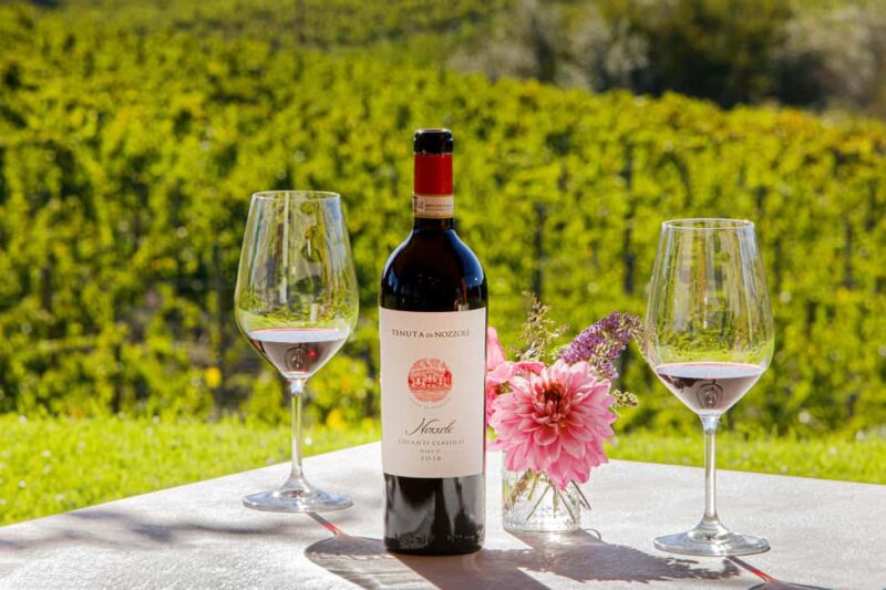 Greve in Chianti: Wine Tasting & Cellar Tour - Comparing Similar Wine Experiences in Tuscany