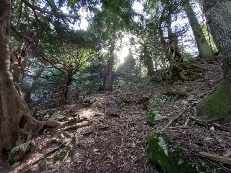 Grevena: Mount Orliakas and Portitsa Canyon Hike - Ascending Mount Orliakas for panoramic vistas and lush scenery