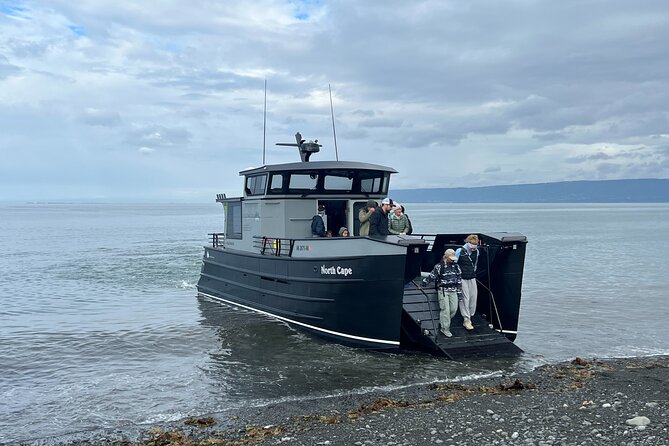 Grewingk Glacier Hike in Kachemak Bay - Wildlife Opportunities Along the Trail and Bay