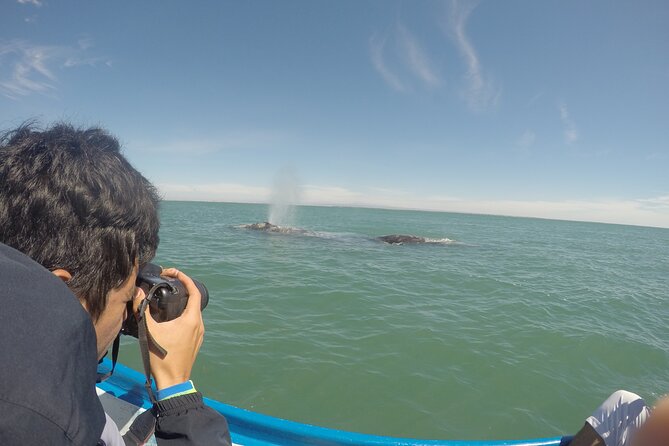 Grey whale watching in Puerto Chale, Mexico - The Focus on Responsible Whale Watching in Puerto Chale