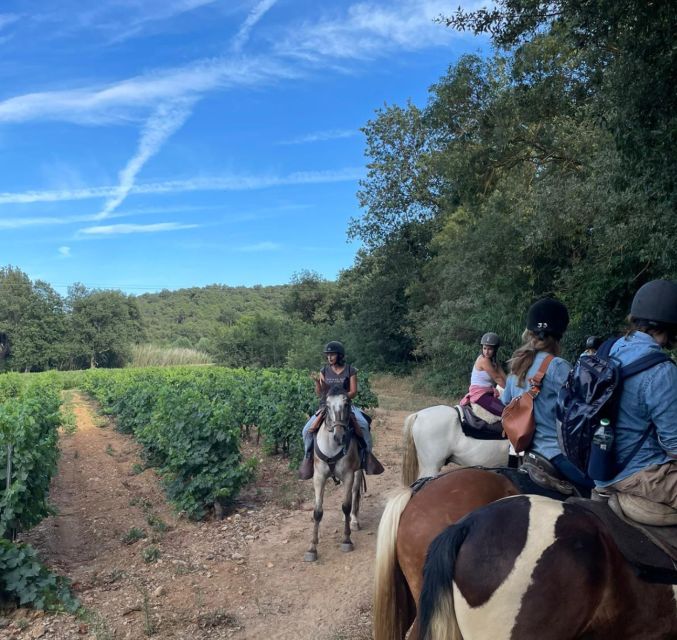 Grimaud: Horseback Riding & Wine Tasting in Maures Forest - Practical Details: Group Size, Safety, and Weather
