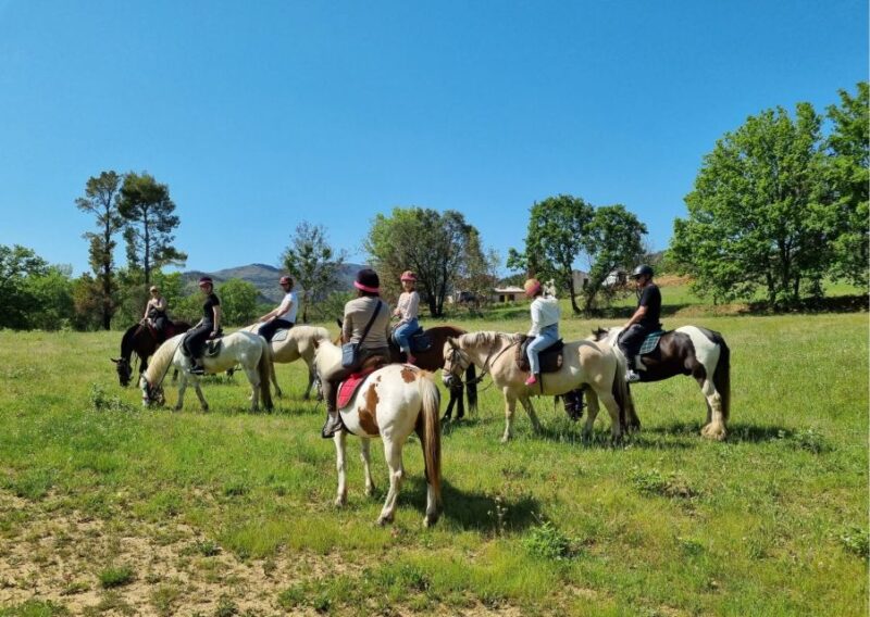 Grimaud: Horseback Riding & Wine Tasting in Maures Forest - Logistics and Meeting Point Details