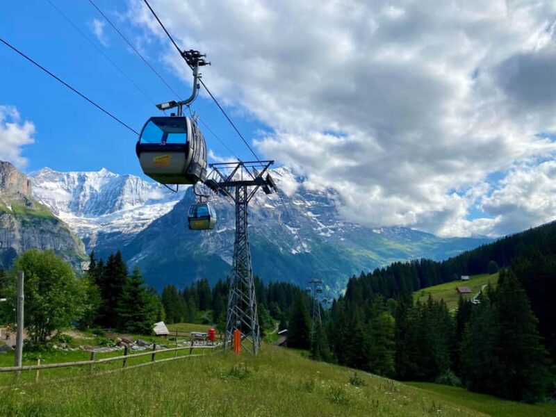 Grindelwald & First Cliff Walk Day Trip | From Zurich - Key Points