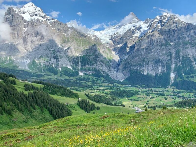 Grindelwald & First Cliff Walk Day Trip | From Zurich - Wildlife Encounters in the Alpine Environment