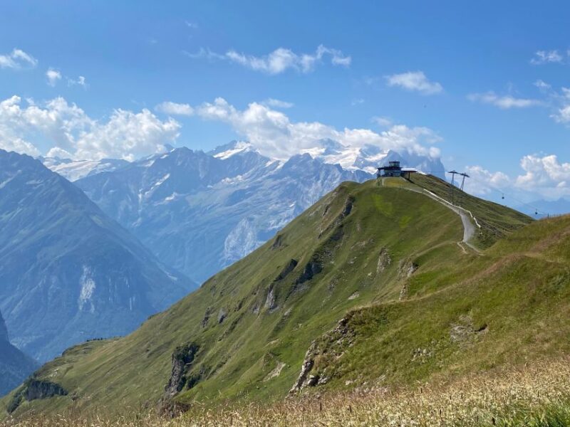 Grindelwald: Guided 7 Hour Hike - Hike through Green Pastures and Alpine Flora