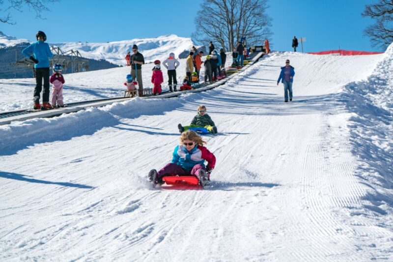 Grindelwald: Sledding and Tubing in Bodmi Arena - Discover Grindelwald’s Bodmi Arena: The Heart of a Swiss Snow Playground