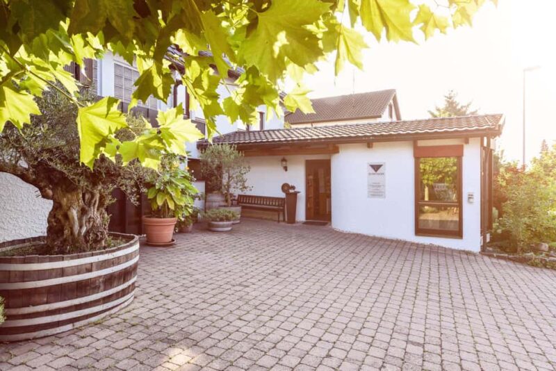 Großheppach: Wine tasting with a cellar tour at the Bernhard Ellwanger winery - Discover Bernhard Ellwangers Organic Winery in Großheppach