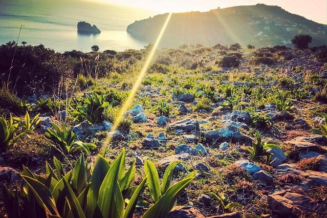 Grotte Di Capo Palinuro - The Natural Arch and the Iconic Rock of the Rabbit