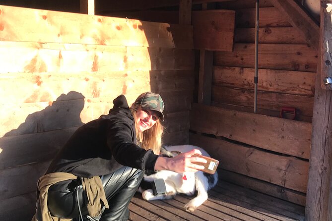 Group City Tour- Walking - Visiting Bergen Cathedral and Its Architectural Layers