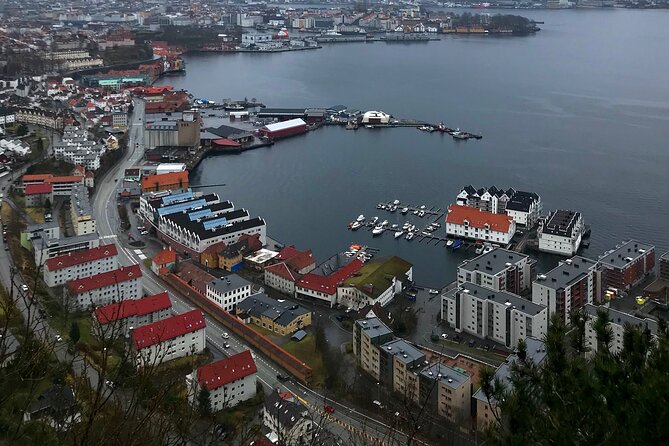 Group City Tour- Walking - Physical Requirements and Accessibility