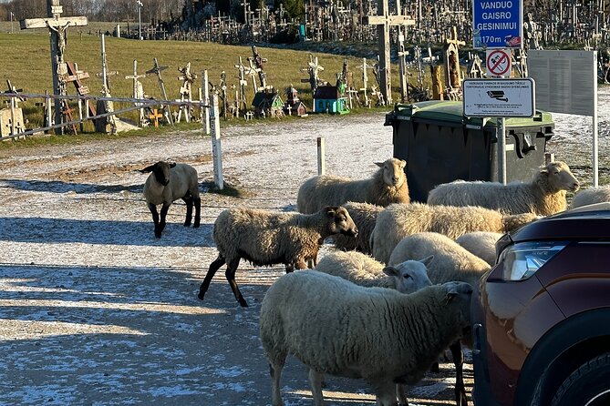 Group day trip from Riga to Hill of Crosses - 5 hour day tour! - The Guide’s Role and Onboard Commentary