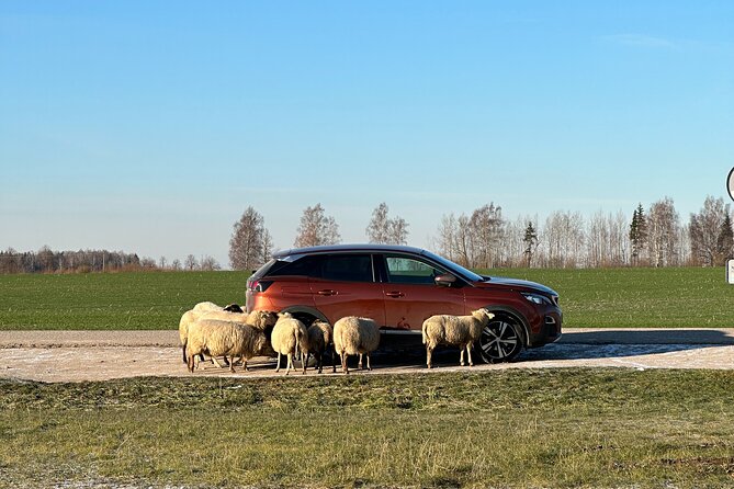 Group day trip from Riga to Hill of Crosses - 5 hour day tour! - Why This Tour Offers Great Value for Money