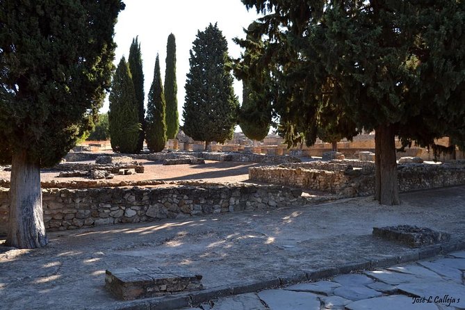 Group Excursion from Seville to Italica (Seville Roman Town) - Key Points