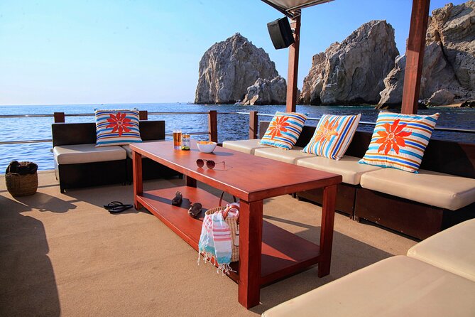 Group Getaway: Private Cabo Catamaran with Water Toys for 20ppl - Meeting Point and Convenience in Cabo San Lucas