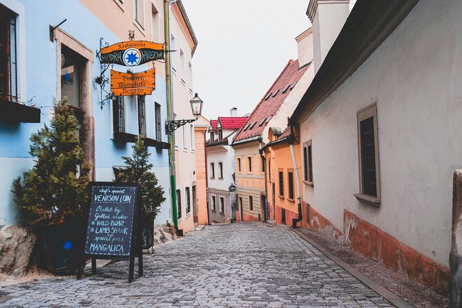 Group Half Day Tour from Vienna to Bratislava with a Local Guide - Old Town’s Hidden Corners and Local Flavor