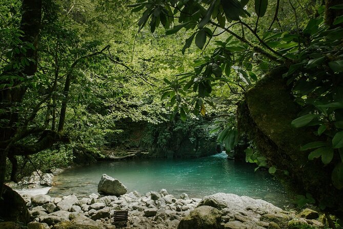 Group Hiking Tour in Mtirala National Park - Overview of the Mtirala National Park Hiking Experience