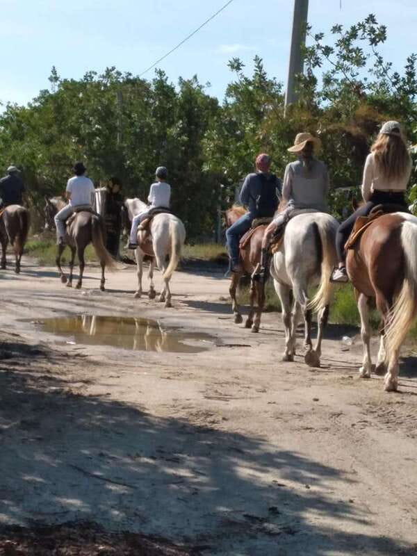 Group horseback ride on Holbox Island, Quintana Roo - The Route: Mangroves and Beach Walks on Punta Siricote