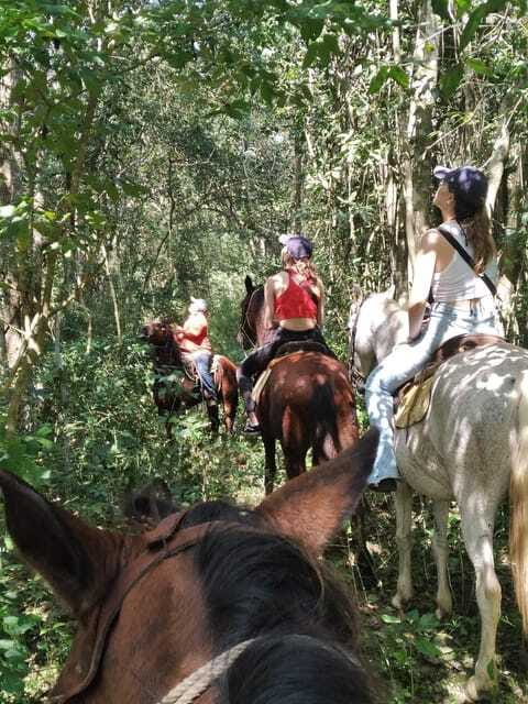 Group horseback ride on Holbox Island, Quintana Roo - Practical Tips for Participants