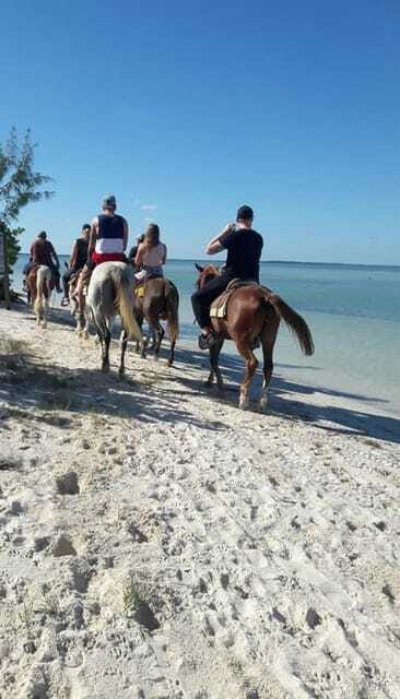 Group horseback ride on Holbox Island, Quintana Roo - Who Will Love This Horseback Ride?