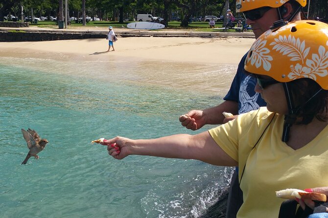 Group priced Food Distillery Brewery half island private tour - Logistics and Comfort on the Tour