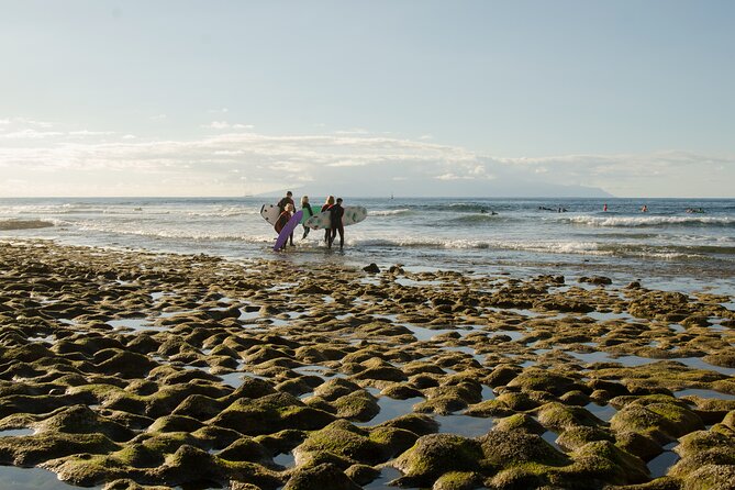 Group Surf Lesson in Playa de las Americas - Gear Rental and What’s Included