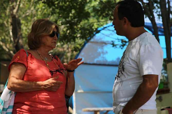 Group Tour: Amberd, Aragats, Lake Kari, Saghmosavank, Alphabet - Practical Tips and Considerations