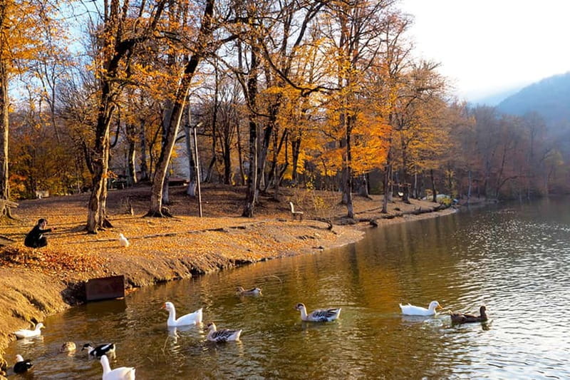 Group Tour: Dilijan, Parz Lake, Makaravank, wine factory - Visiting Makaravank Monastery’s Medieval Craftsmanship