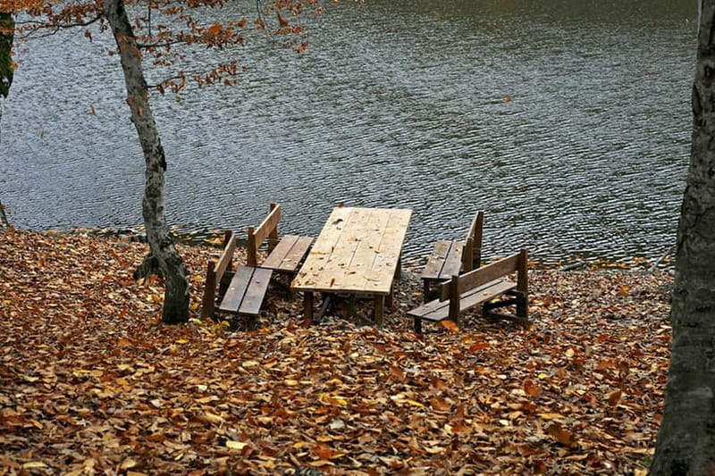 Group Tour: Dilijan, Parz Lake, Makaravank, wine factory - Practical Details: Meeting, Payment, and Accessibility