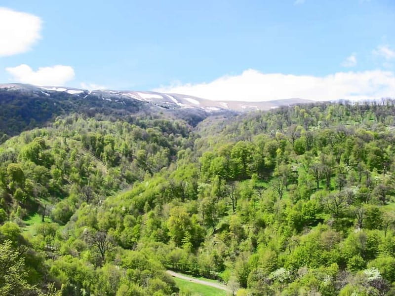 Group Tour: Dilijan, Parz Lake, Makaravank, wine factory - Who Will Appreciate This Tour Most?