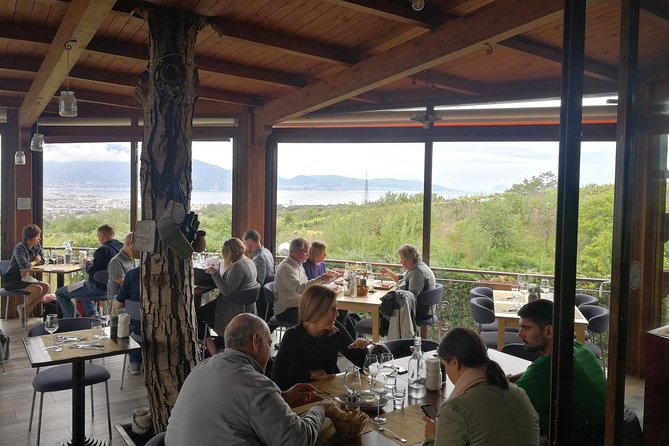 Group tour for wine & food tasting at the Cantina del Vesuvio. - Guide and Guest Experience