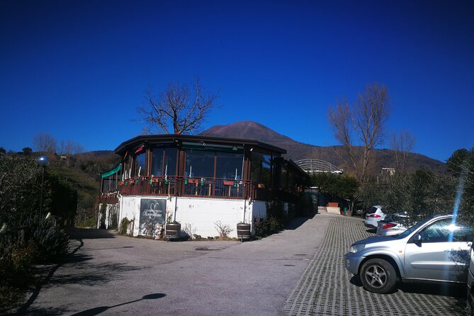 Group tour for wine & food tasting at the Cantina del Vesuvio. - Frequently Asked Questions