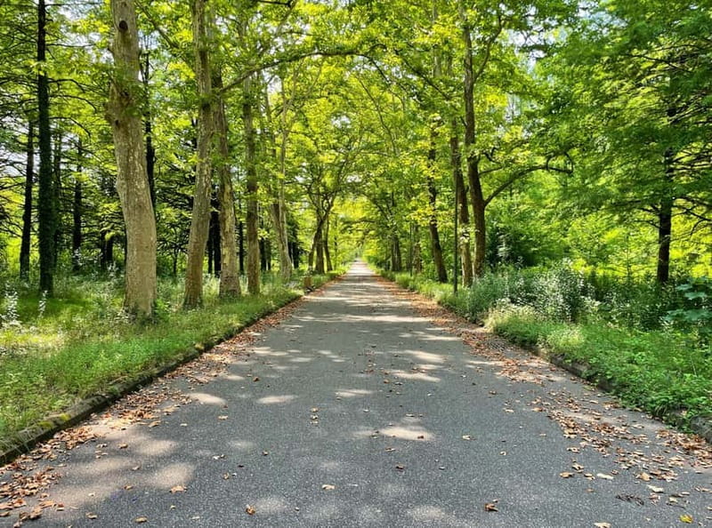 Group tour from Batumi to Kutaisi and Tskaltubo - Who Will Appreciate This Tour Most