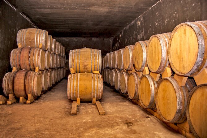 Group Tour: Hin Areni Winery, Tatev (wayback on Ropeway), Khndzoresk Caves - Riding the Wings of Tatev Ropeway over the Vorotan Gorge